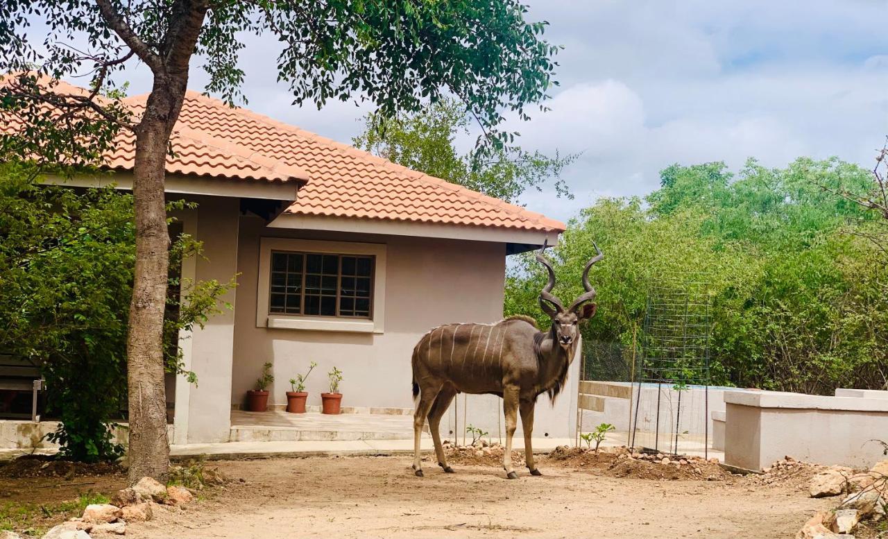 Impala Lily Villa Marloth Park Ngoại thất bức ảnh